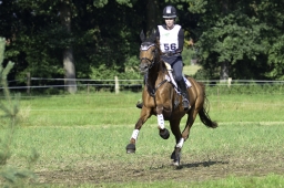 langenhagen-2017_cic1-183