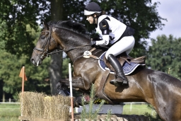langenhagen-2017_cic1-187