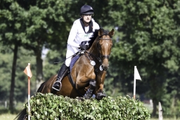 langenhagen-2017_cic1-195