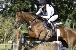 langenhagen-2017_cic1-197