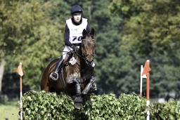 langenhagen-2017_cic1-206