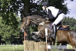 langenhagen-2017_cic1-207
