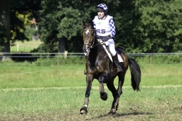 langenhagen-2017_cic1-209