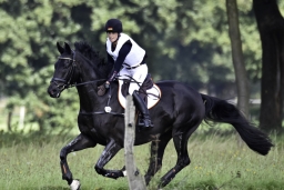 langenhagen-2017_cic1-210