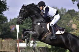 langenhagen-2017_cic1-211