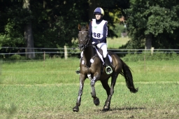 langenhagen-2017_cic1-217