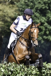 langenhagen-2017_cic1-219