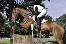 langenhagen-2017_cic1-226