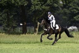 langenhagen-2017_cic1-231