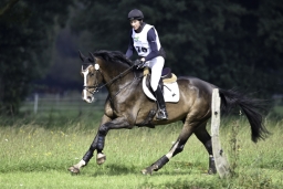 langenhagen-2017_cic1-234