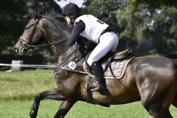 langenhagen-2017_cic1-253