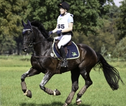langenhagen-2017_cic1-290