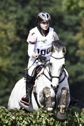 langenhagen-2017_cic1-301