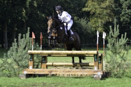 langenhagen-2017_cic1-309