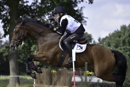 langenhagen-2017_cic1-315