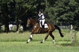 langenhagen-2017_cic1-317