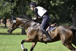 langenhagen-2017_cic1-327