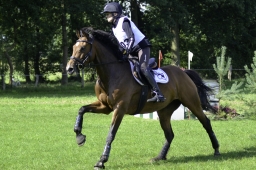 langenhagen-2017_cic1-329