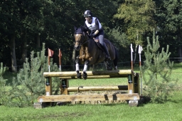 langenhagen-2017_cic1-331