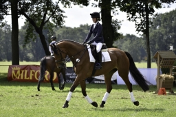 langenhagen-2017_cic1-335