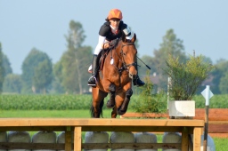 laupheim-2013_gelaendepferde-a-010-jpg