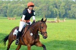 laupheim-2013_gelaendepferde-a-011-jpg