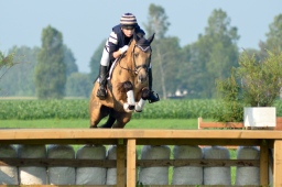 laupheim-2013_gelaendepferde-a-012-jpg