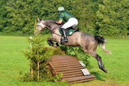 laupheim-2013_gelaendepferde-a-018-jpg