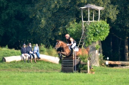 laupheim-2013_gelaendepferde-a-022-jpg