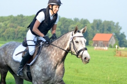 laupheim-2013_gelaendepferde-a-024-jpg