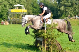 laupheim-2013_gelaendepferde-a-025-jpg