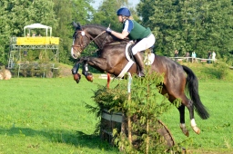 laupheim-2013_gelaendepferde-a-028-jpg