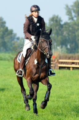 laupheim-2013_gelaendepferde-a-030-jpg