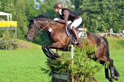 laupheim-2013_gelaendepferde-a-031-jpg