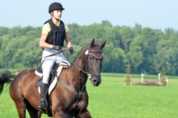 laupheim-2013_gelaendepferde-a-036-jpg