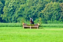 laupheim-2013_gelaendepferde-a-038-jpg