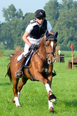 laupheim-2013_gelaendepferde-a-040-jpg