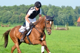 laupheim-2013_gelaendepferde-a-041-jpg