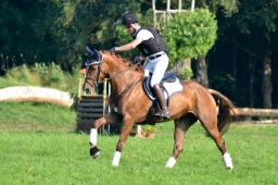 laupheim-2013_gelaendepferde-a-047-jpg