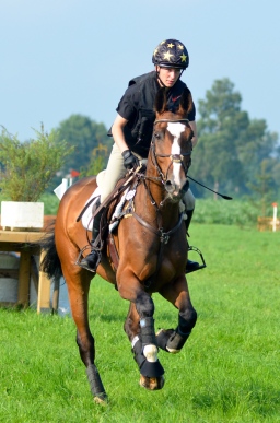 laupheim-2013_gelaendepferde-a-049-jpg