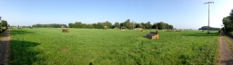 laupheim-2013_gelaendepferde-a-052-jpg
