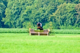laupheim-2013_gelaendepferde-a-053-jpg