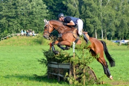 laupheim-2013_gelaendepferde-a-058-jpg