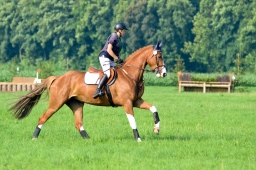 laupheim-2013_gelaendepferde-a-060-jpg