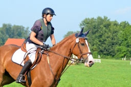 laupheim-2013_gelaendepferde-a-062-jpg