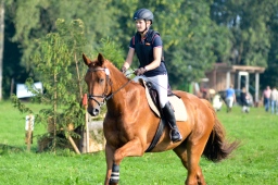 laupheim-2013_gelaendepferde-a-065-jpg