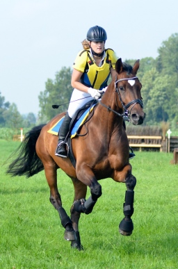 laupheim-2013_gelaendepferde-a-069-jpg