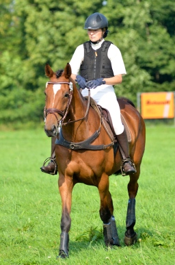 laupheim-2013_gelaendepferde-a-084-jpg
