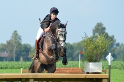 laupheim-2013_gelaendepferde-a-086-jpg