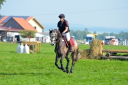 laupheim-2013_gelaendepferde-a-087-jpg